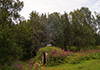 DSC00748final.JPG