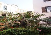DSC04735.jpg