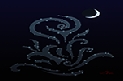 NightFlower.png