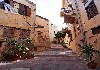DSC04780.jpg
