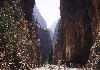 canyon1.jpg
