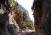 DSC04570.jpg