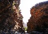 DSC04566.jpg