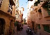 DSC04751.jpg