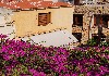 DSC04730.jpg