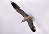 DSC01070final.JPG