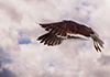 DSC01079final.JPG