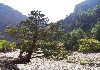 DSC04537.jpg