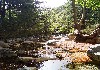 DSC04509.jpg