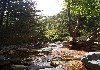 DSC04511.jpg