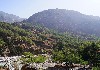 DSC04528.jpg